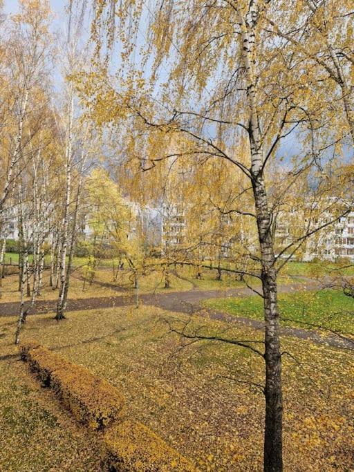 Ilguciema Apartment Riga Bagian luar foto